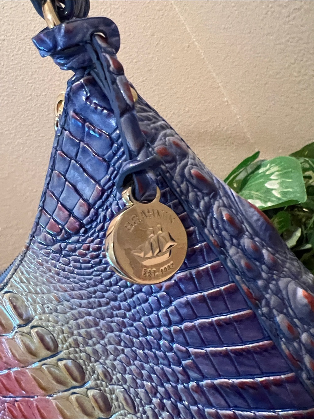 Brahmin Esme Enchant - Picture 2 of 10